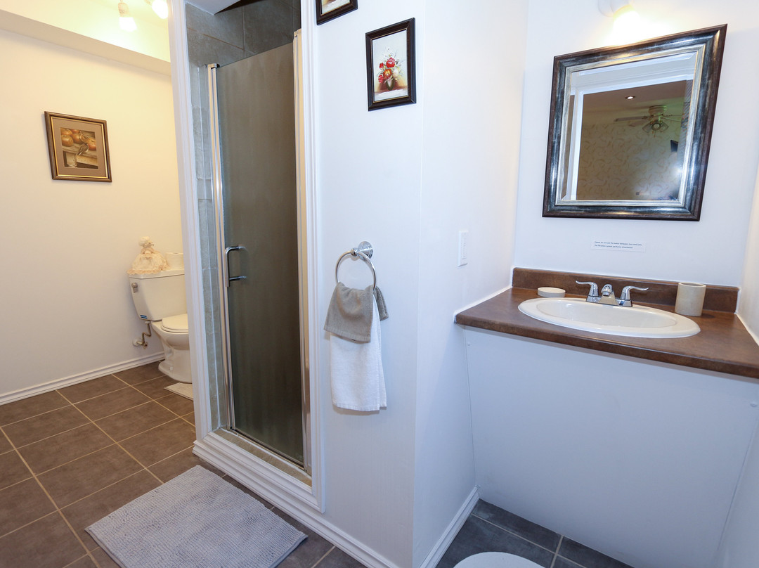 Cedar Drive Inn主图