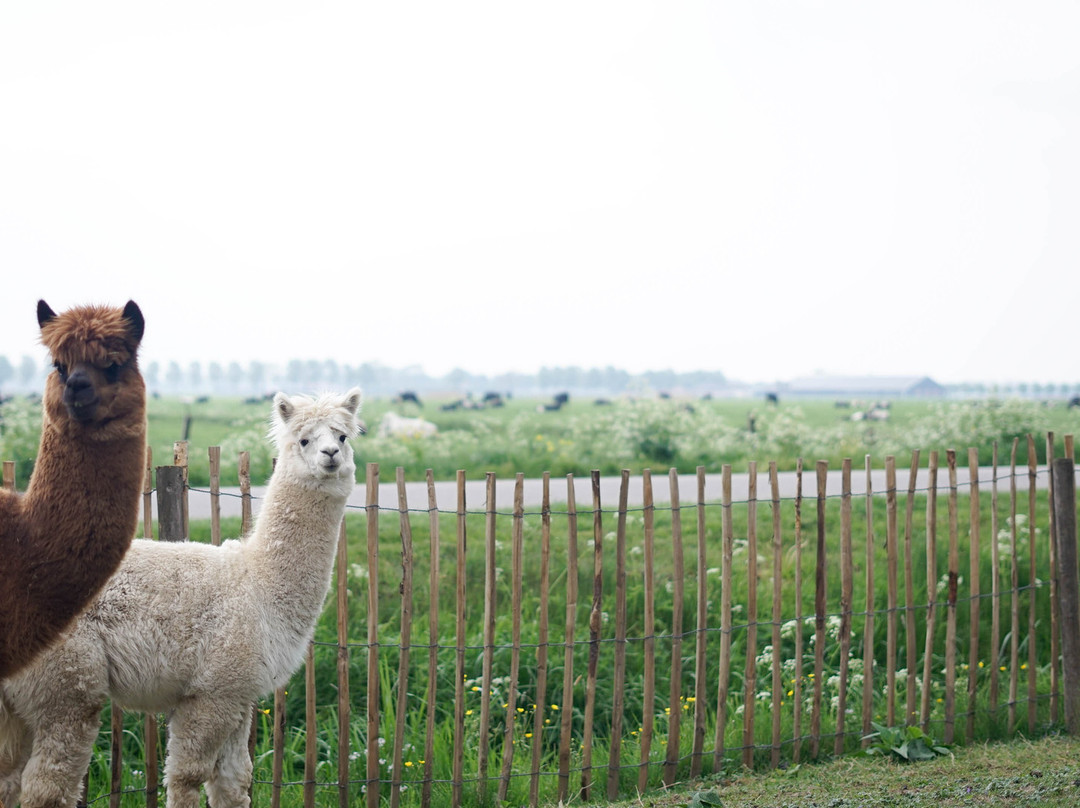 Dreumel旅游攻略图片