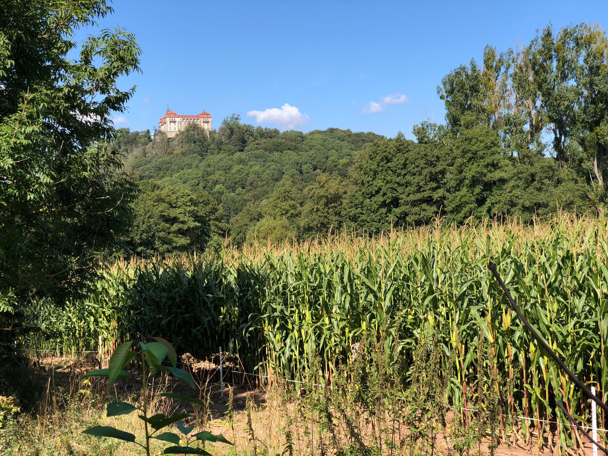 Berghof-官方
