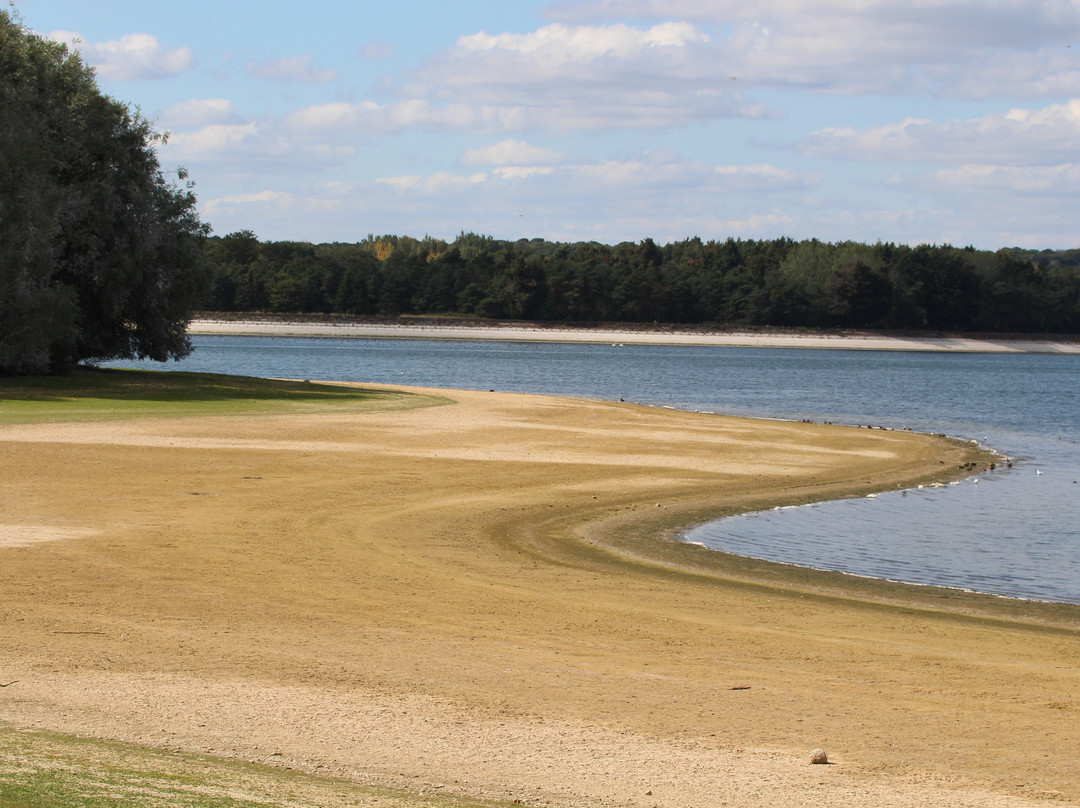 Hanningfield Nature Discovery Centre景点图片
