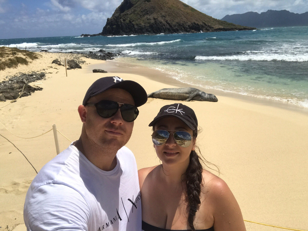 Sun & Salt Adventures Hawaii-科纳必去景点