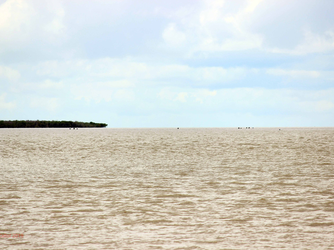 Sundarban Wild Safari景点图片