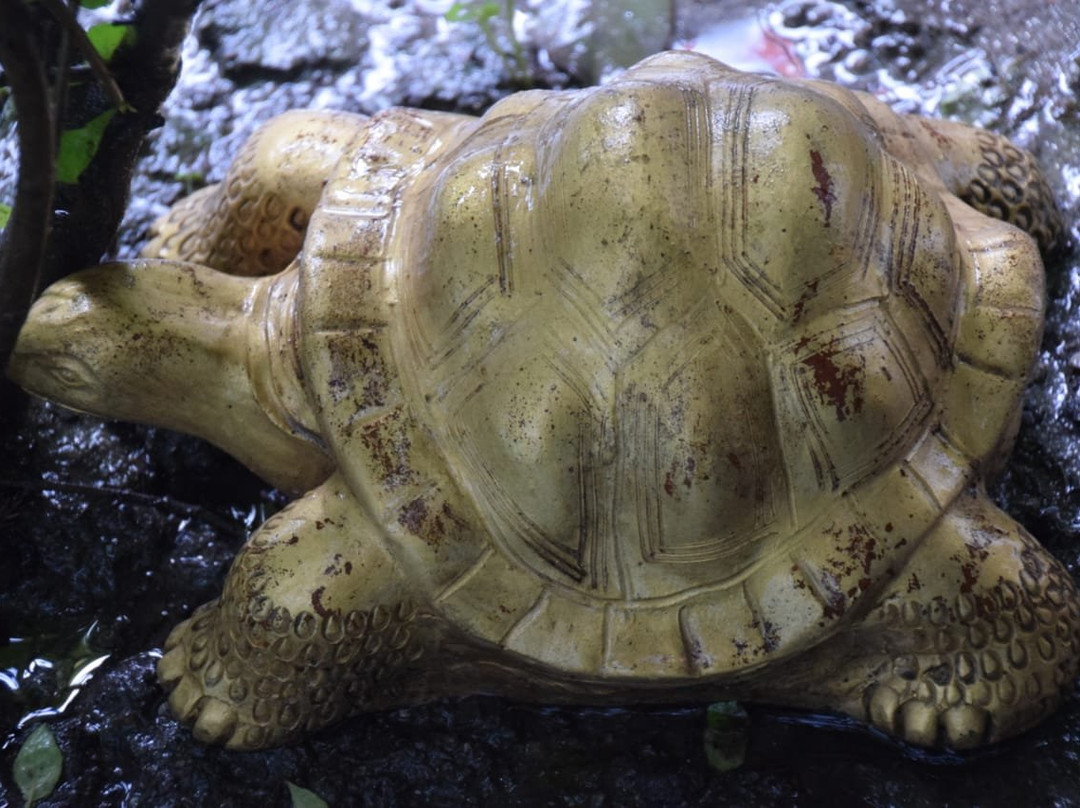 Oasis Kathmandu Hotel主图