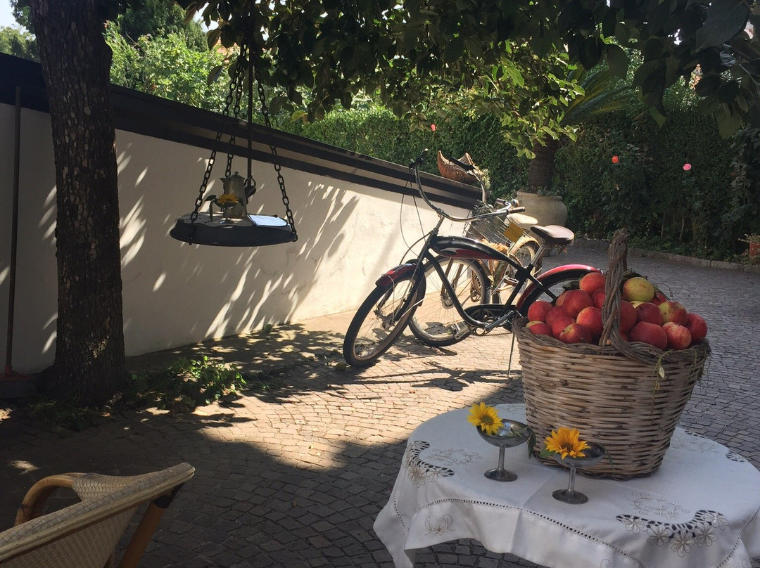 妮多维德酒店主图