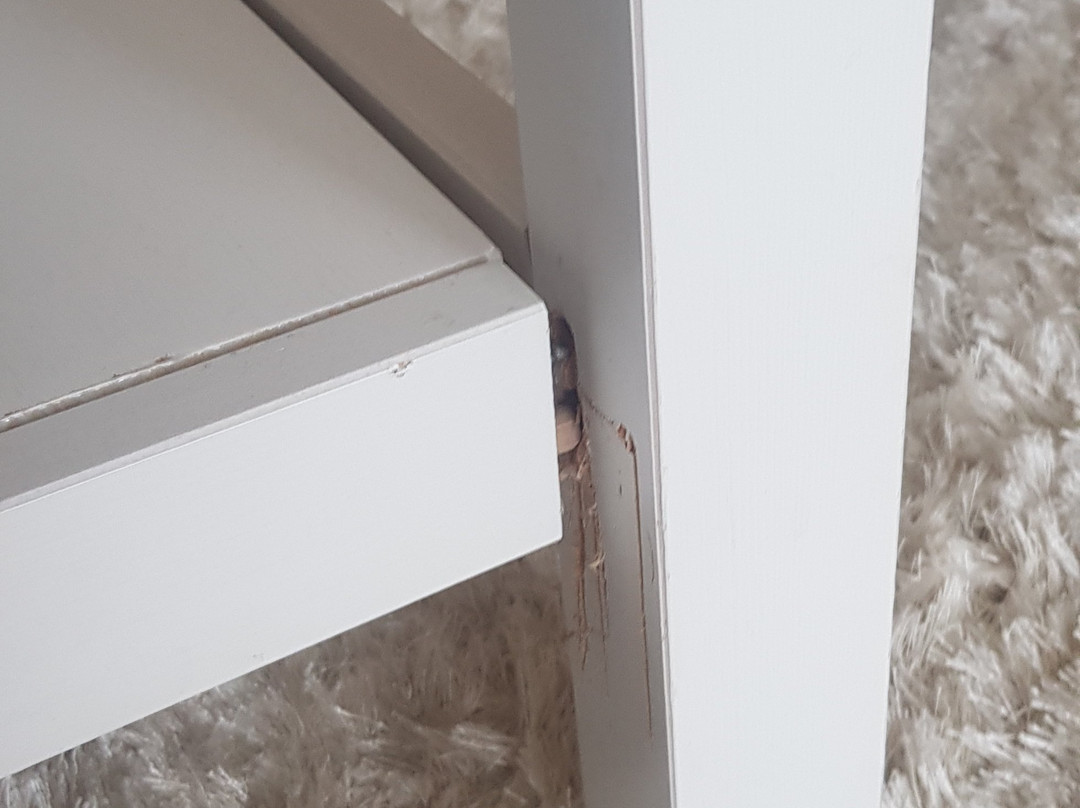 Glavatarski Han主图