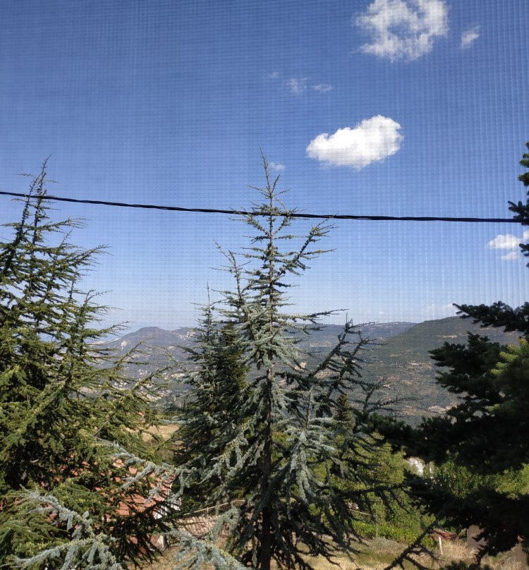 Filiantra Guesthouse主图