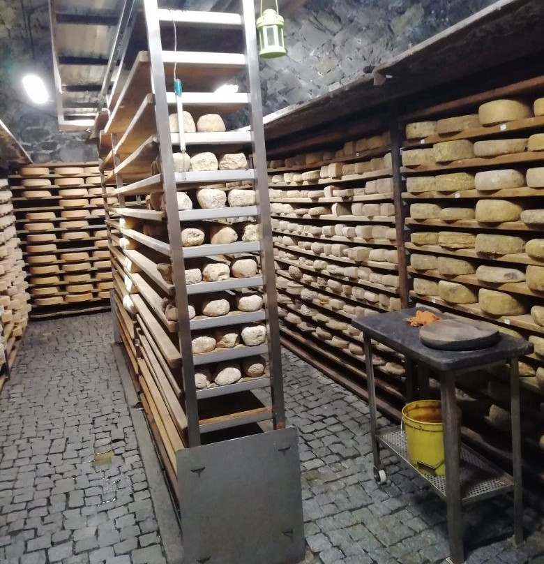 Azienda Agricola Lo Copafen景点图片