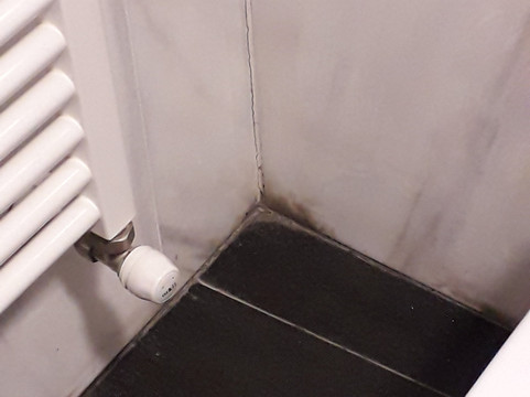 阿拉梅达中心酒店主图