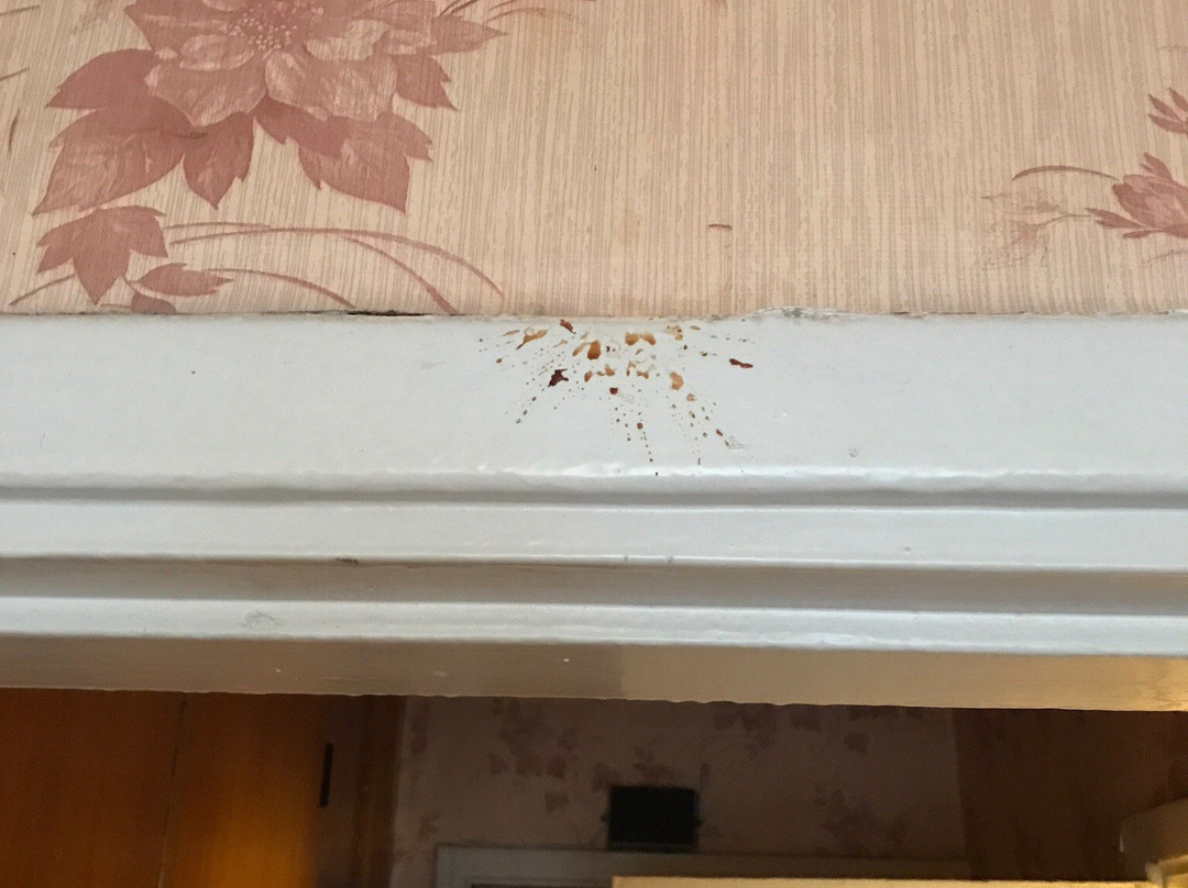 Zvezda Zhiguley Hotel主图