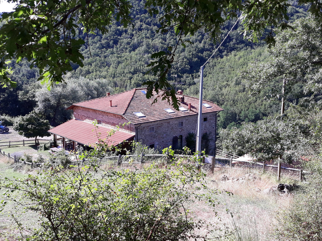 Farmhouse La Chiusa主图