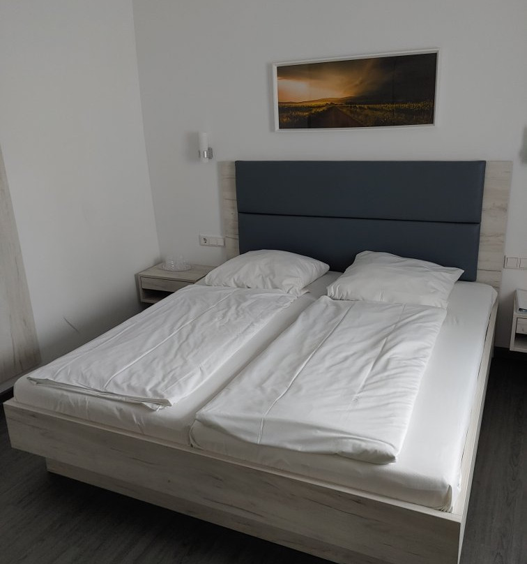 Hotel Schwan主图