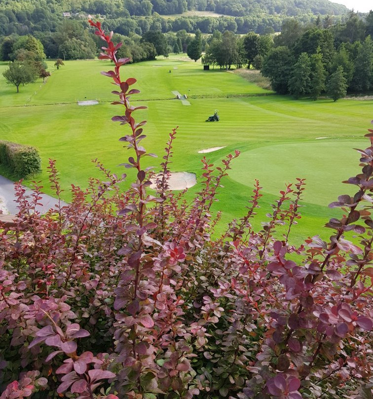 Vale of Llangollen Golf Club景点图片