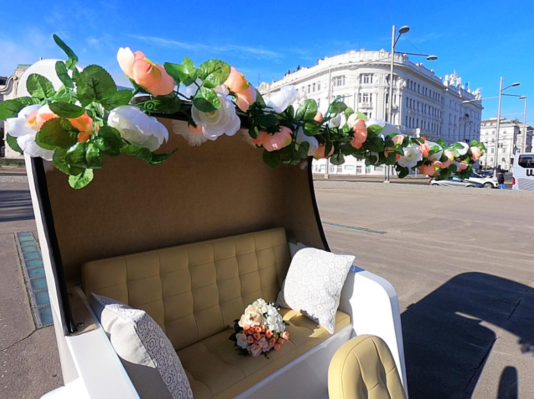 Viennese Time Capsule-维也纳必去景点