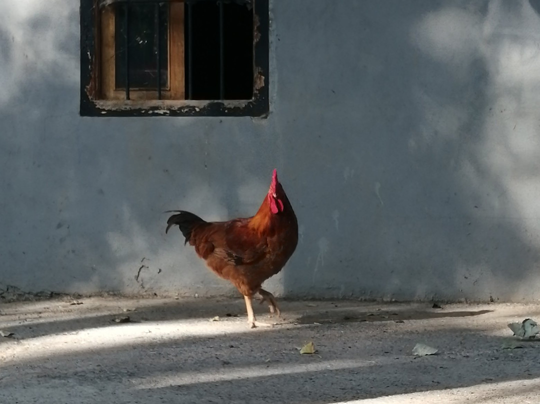 Masia El Molinete主图