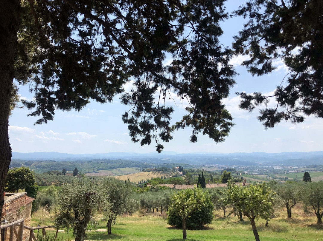 Fattoria di Cinciano主图