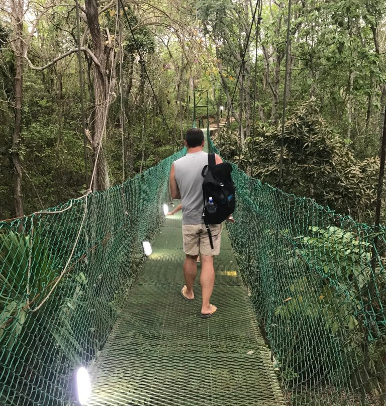 Villa Maria Tayrona, Jungle and Sea Experience主图