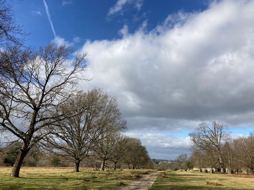 Knole House Estate Walking Trails景点图片