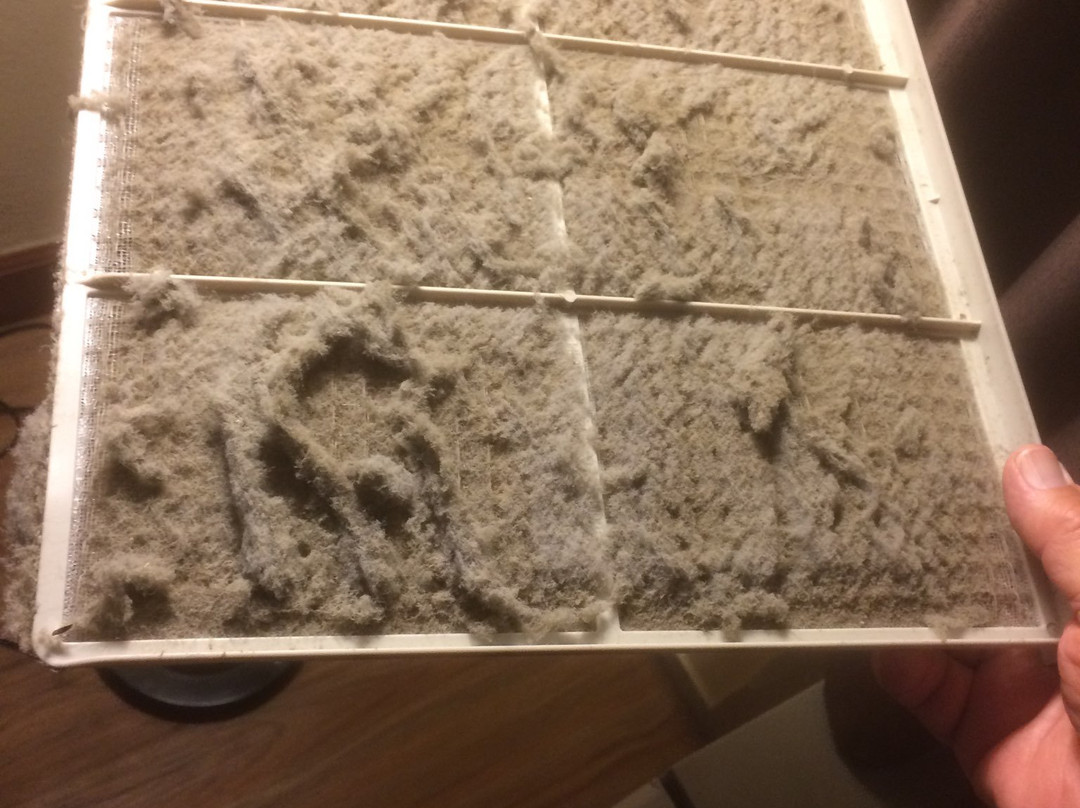 Econolodge Port Canaveral Area主图