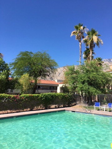 Ivy Palm Resort主图