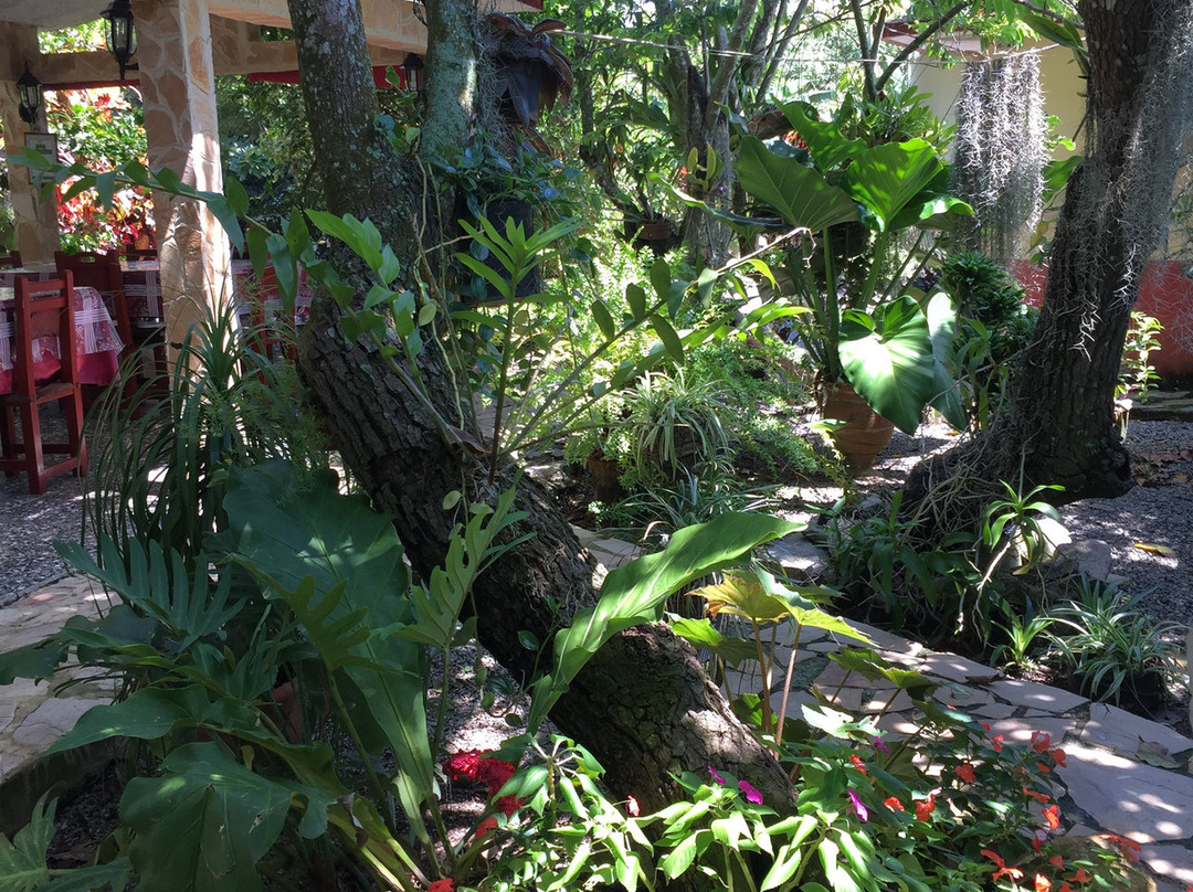 Casa Los Sauces Jorge y Ana Lidia主图