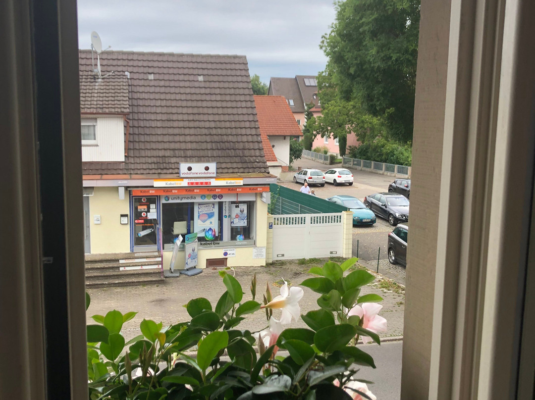 Hotel Restaurant Grieshabers Rebstock主图