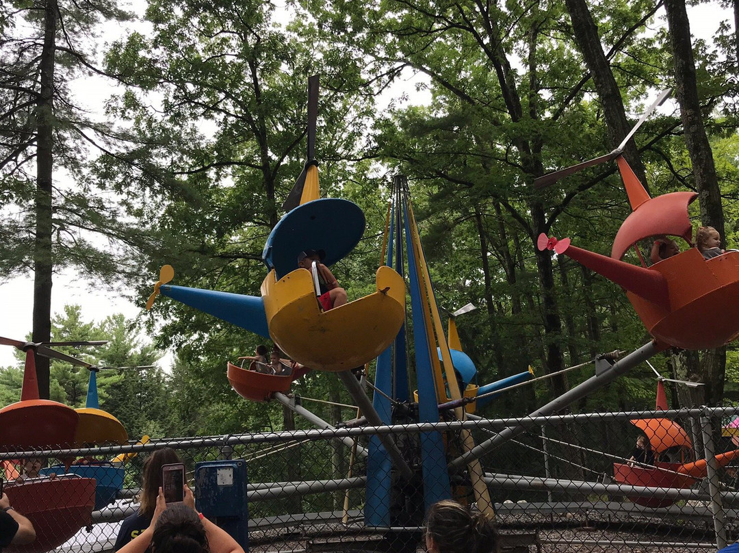 Magic Forest-乔治湖必去景点