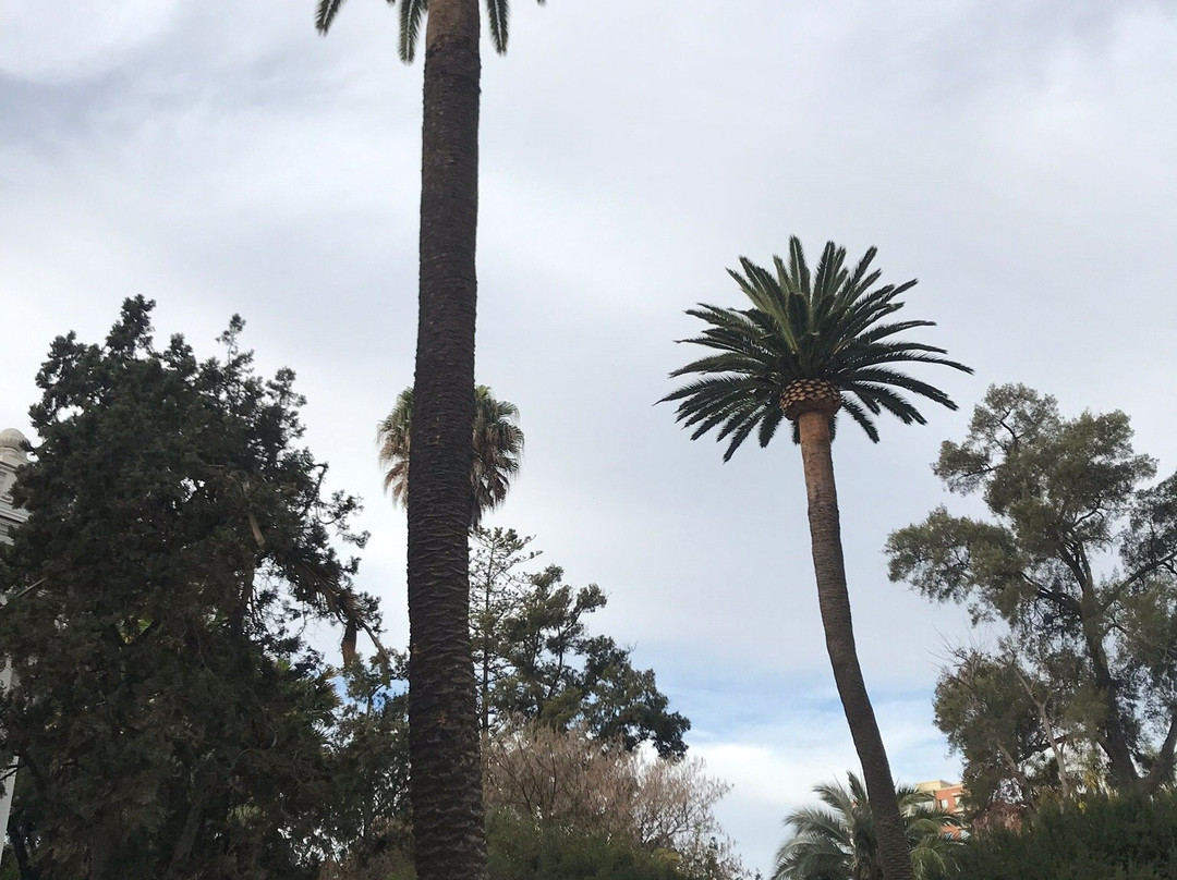 Palacio Rioja-比尼亚德尔马必去景点