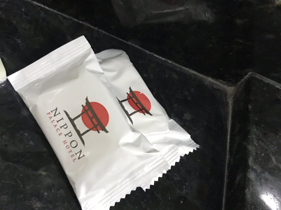 Nippon Palace Hotel主图