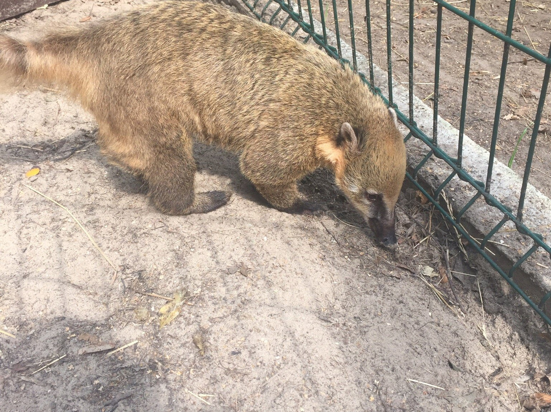 Petrovskiy Zoo-喀山必去景点