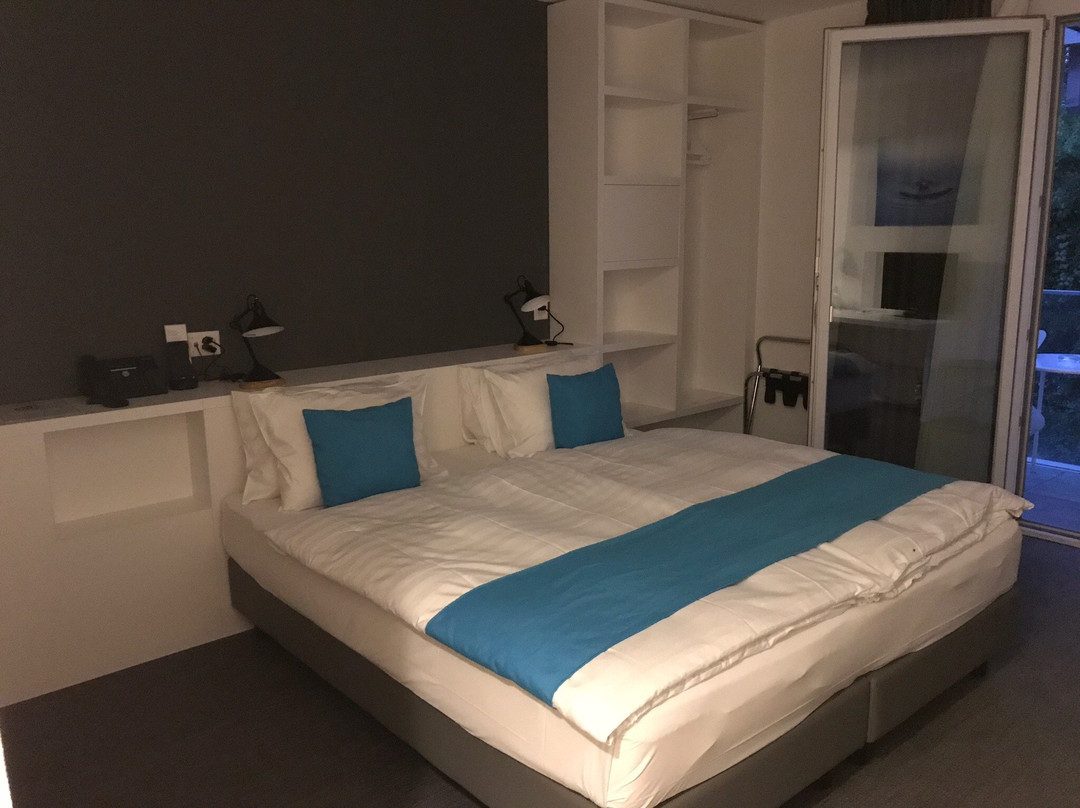 Hotel de la Source主图