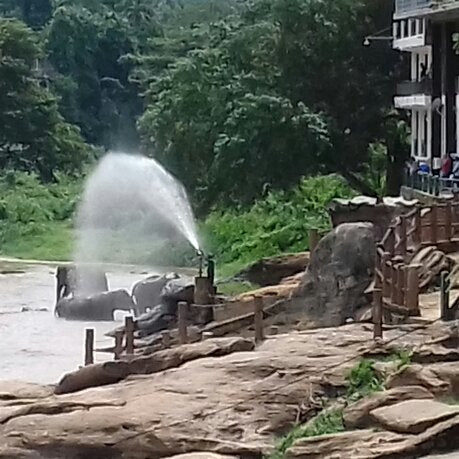 Pinnawala Handicrafts Emporium-品纳维拉必去景点