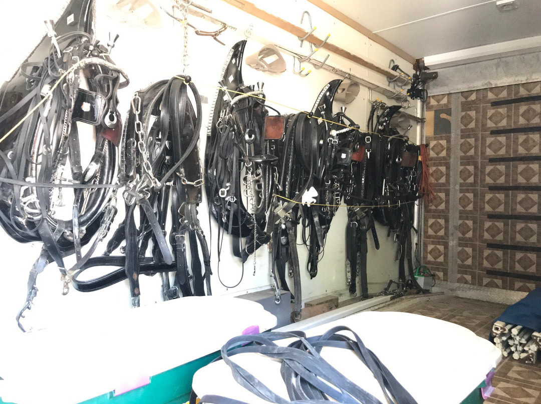 Larson's Famous Clydesdales-Ripon必去景点