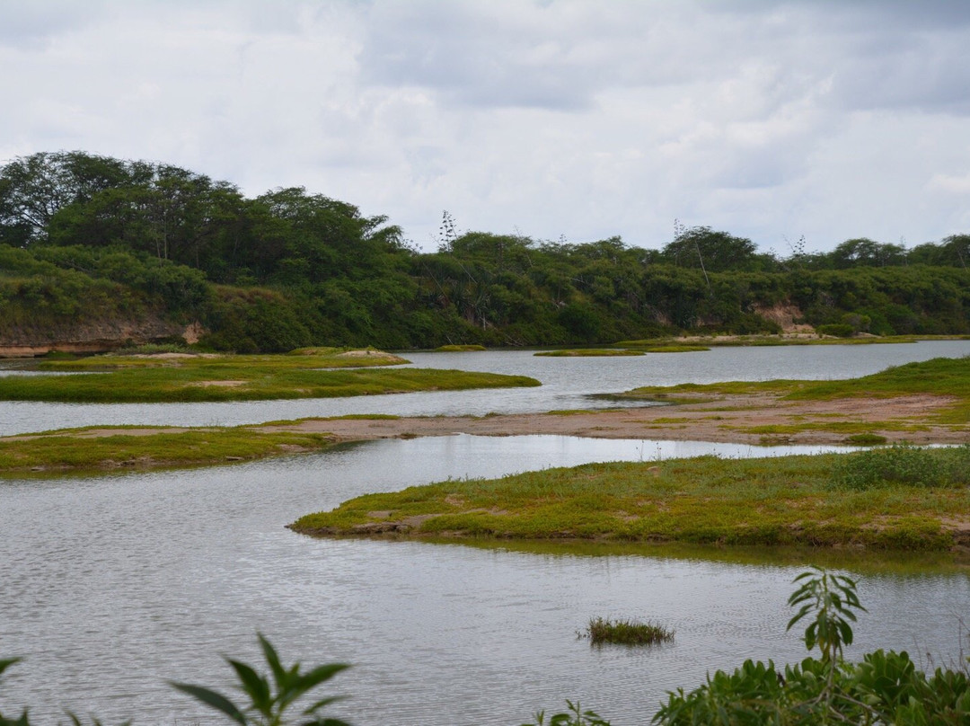 Kawai‘ele Waterbird Sanctuary-科卡哈必去景点