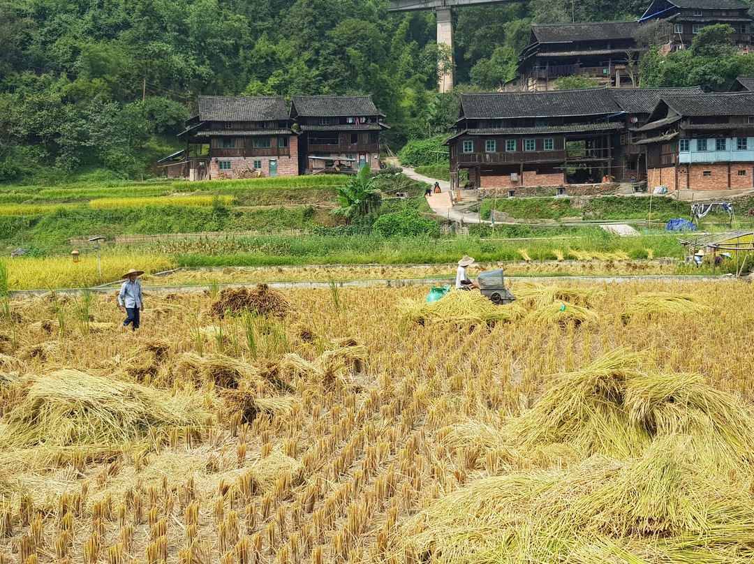 马胖鼓楼景点图片