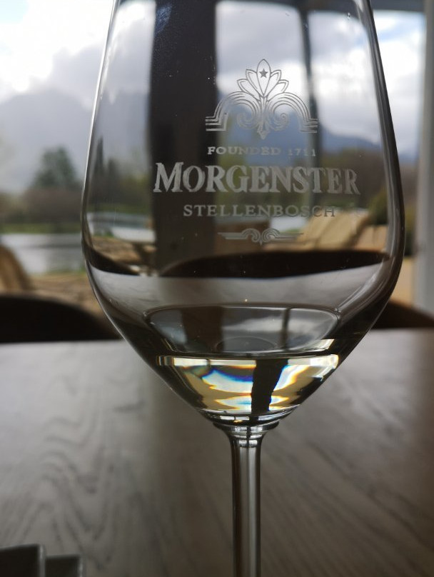 Morgenster Wine Farm and Olive Estate景点图片