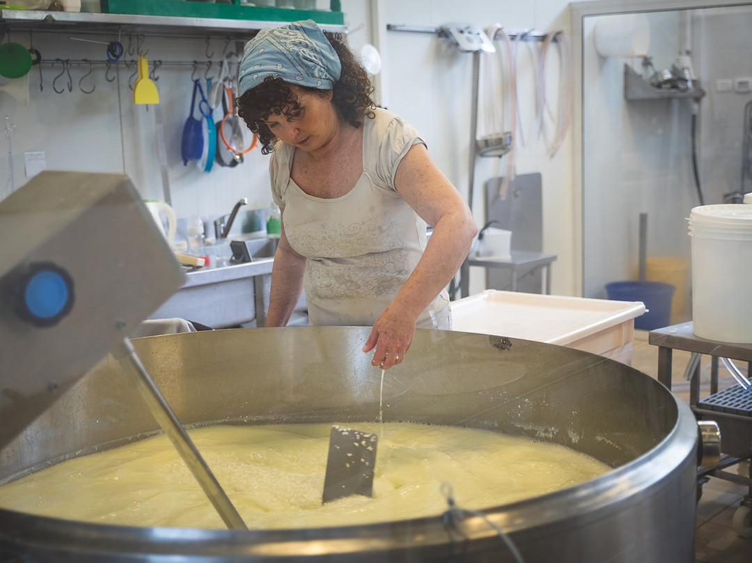 Shirat Roim - House Of Cheese-Lotem必去景点