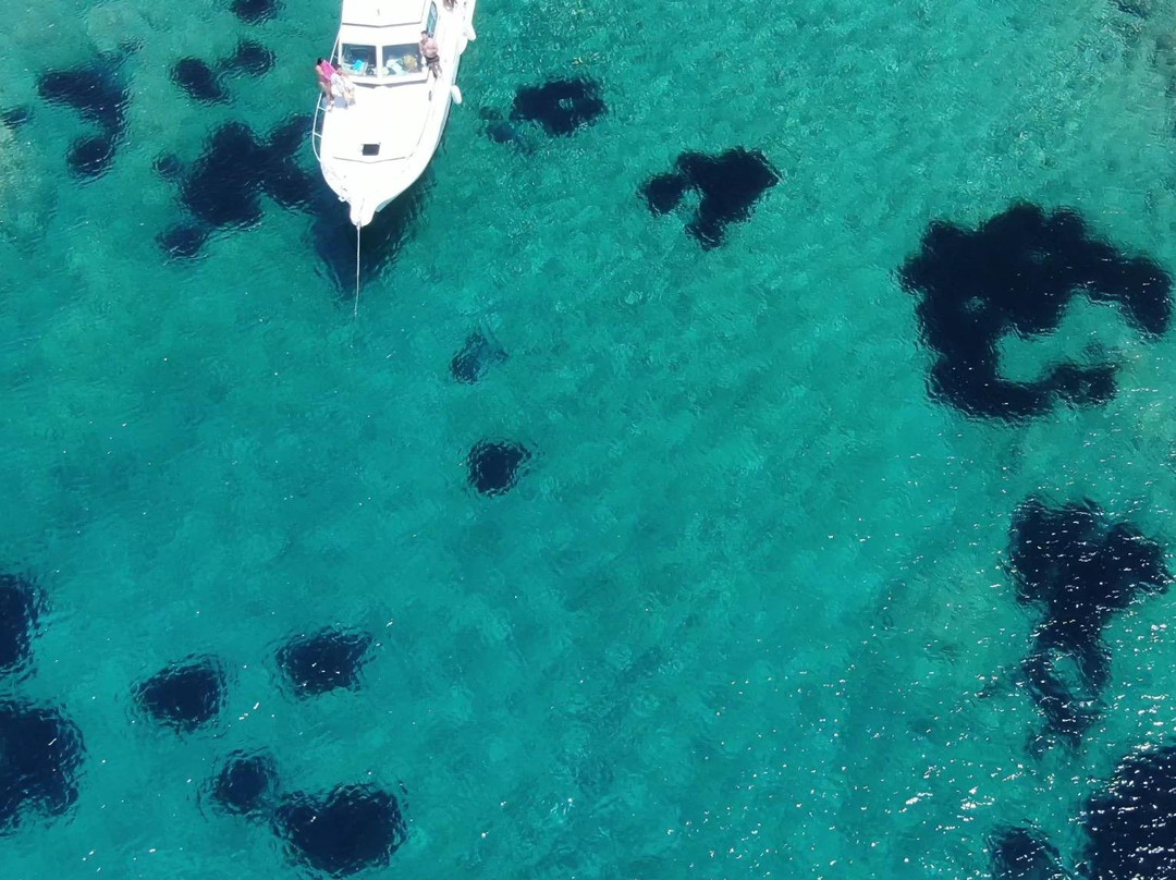 Escursioni in Barca - IL GUALFIERO-帕劳必去景点