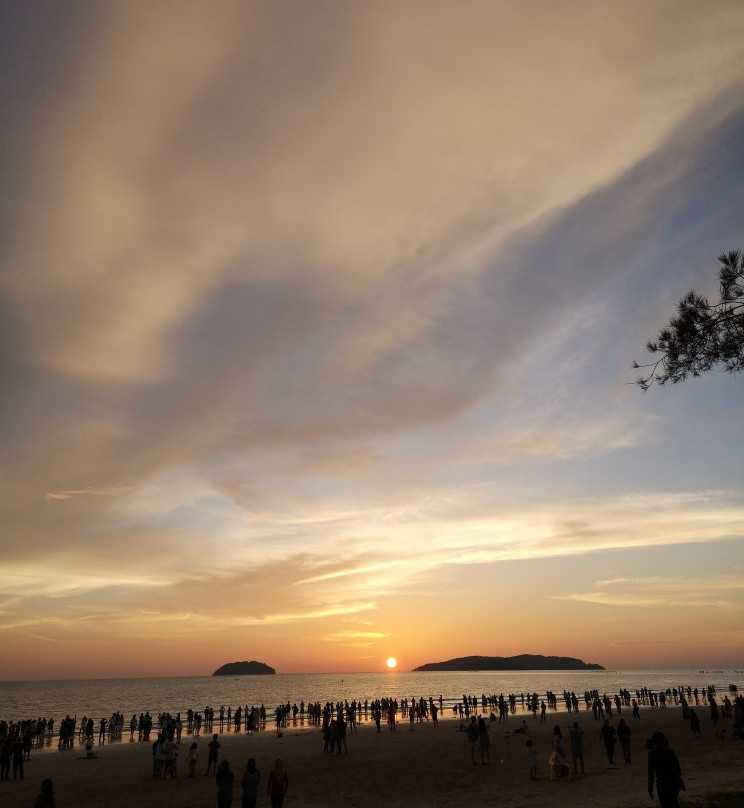 木麻黄酒店主图