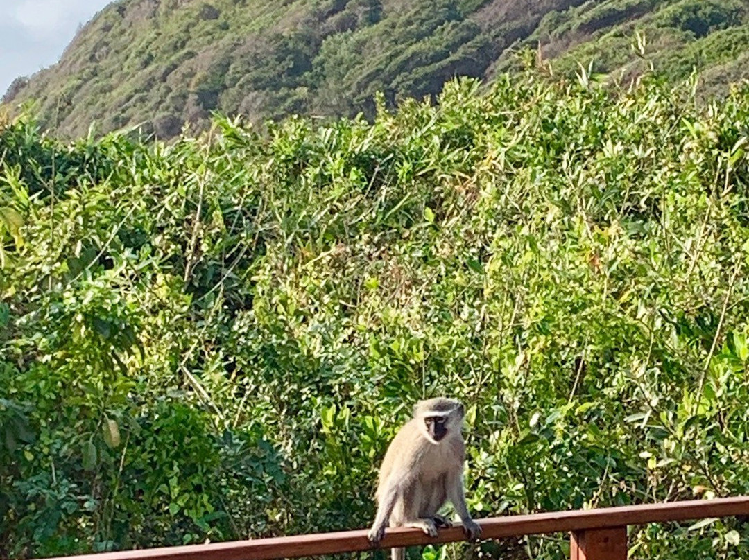 白色珍珠渡假村主图