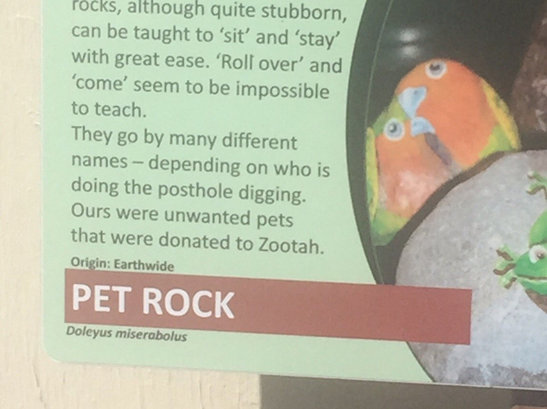 Zootah At Willow Park景点图片