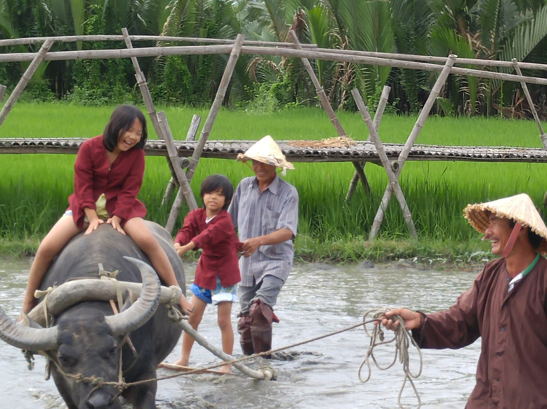 Jack Tran渔民体验之旅-会安必去景点