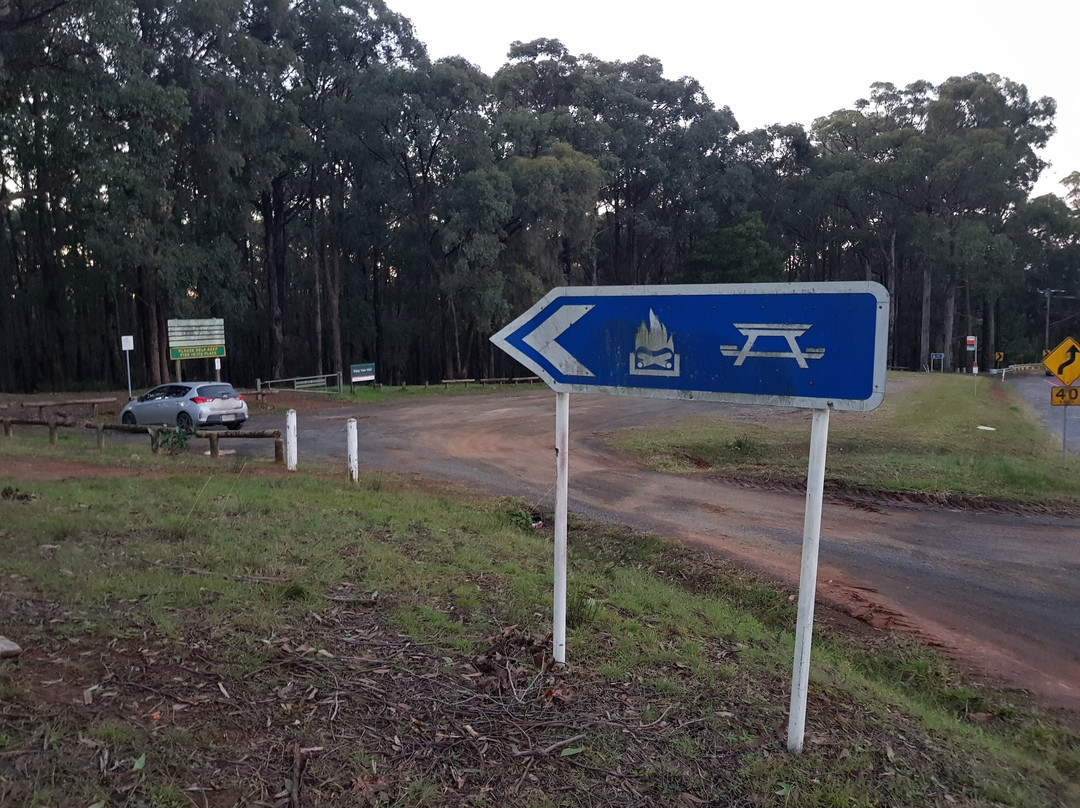 Wright Forest-Cockatoo必去景点