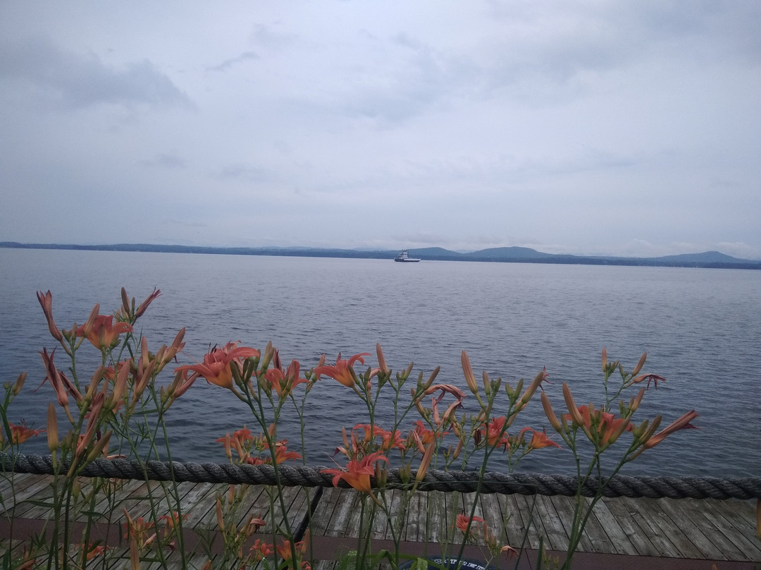 Inn at Charlotte Bed and Breakfast主图