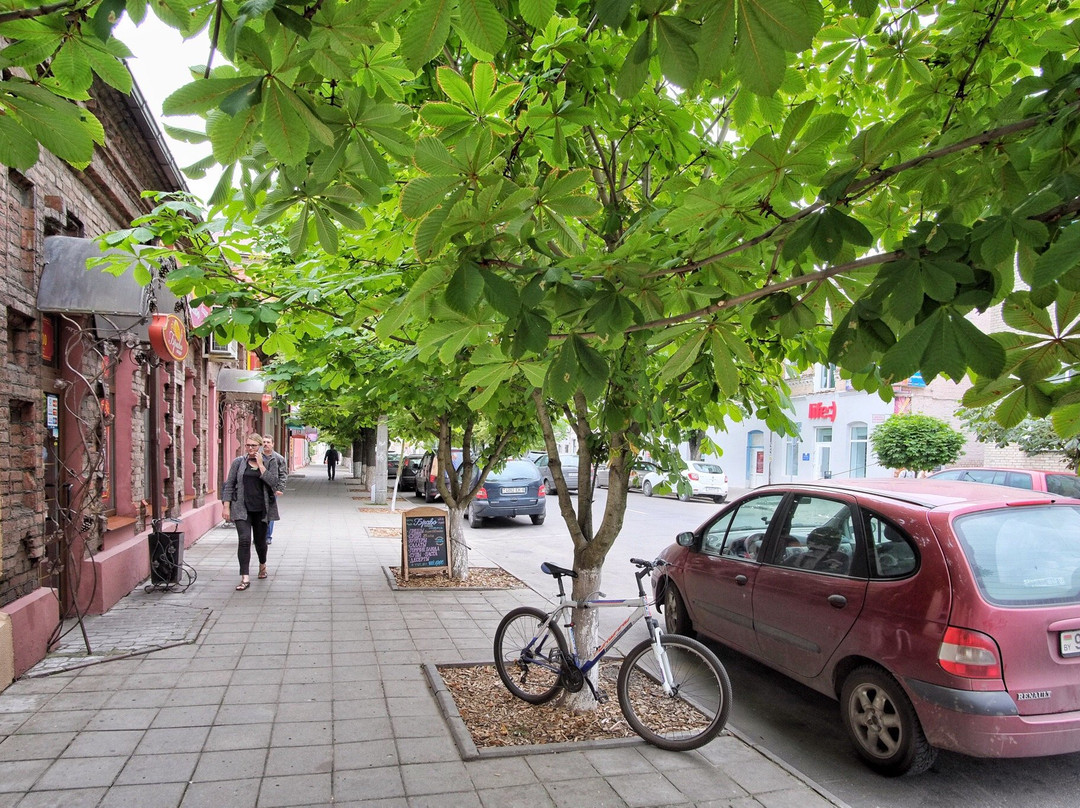 Pedestrian Street Sotsialisticheskaya-Bobrujsk必去景点