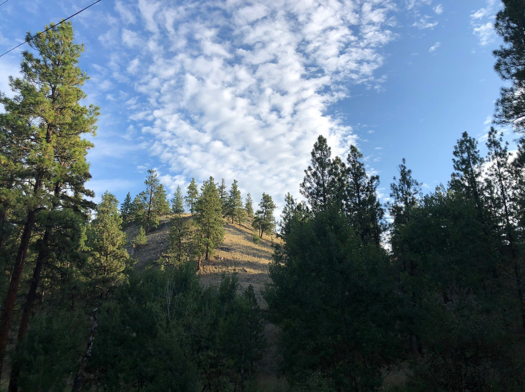 High Chaparral Guest House主图