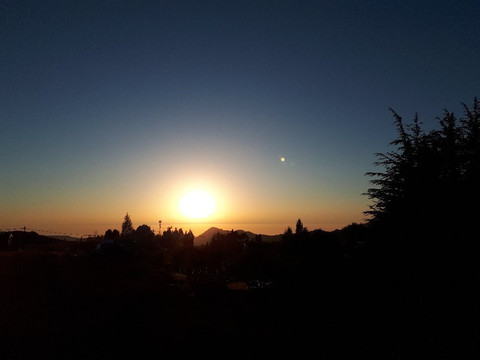 La Maison Des Cedres主图