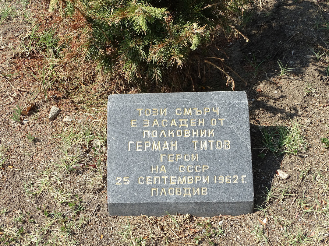 Monument to Alexandr II-普罗夫迪夫必去景点
