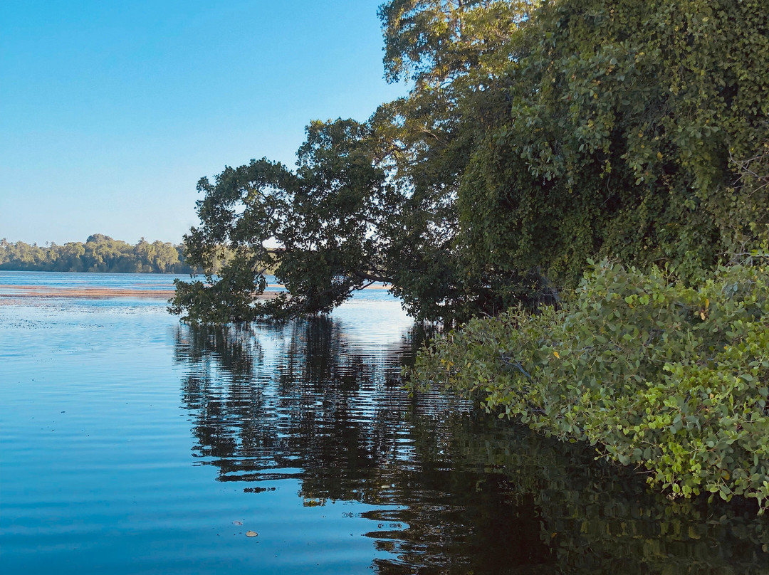 Mawella Lagoon Kayak Tour景点图片