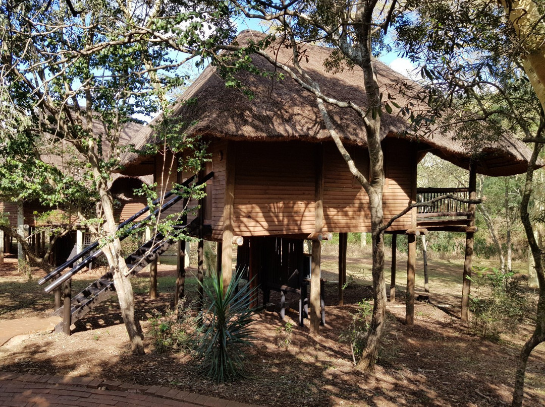 Zululand Tree Lodge主图