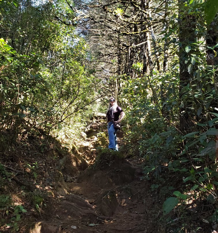 Trilha Chapéu do Bispo-蒙特贝尔德必去景点